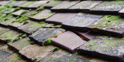 Ireland roof repair costs